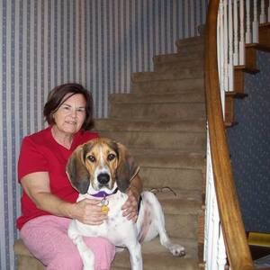 Meet your Posher, Judy